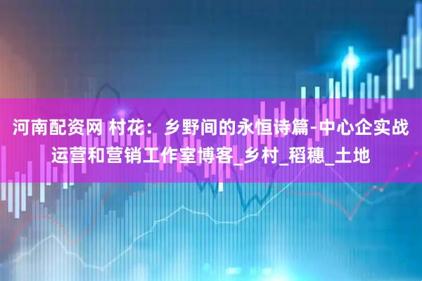 河南配资网 村花：乡野间的永恒诗篇-中心企实战运营和营销工作室博客_乡村_稻穗_土地