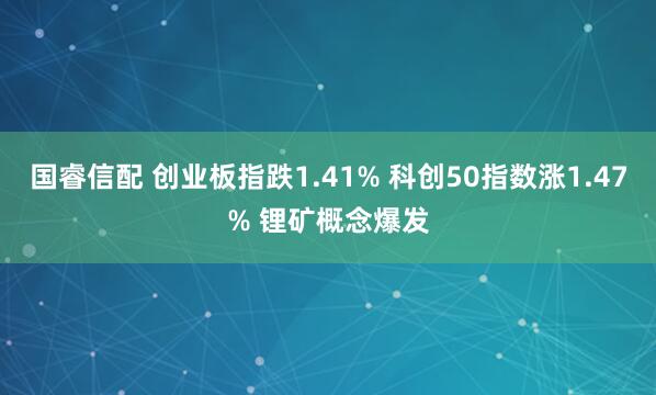 国睿信配 创业板指跌1.41% 科创50指数涨1.47% 锂矿概念爆发