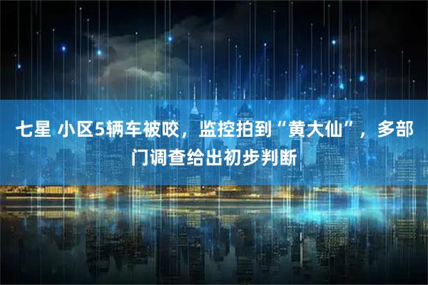 七星 小区5辆车被咬，监控拍到“黄大仙”，多部门调查给出初步判断
