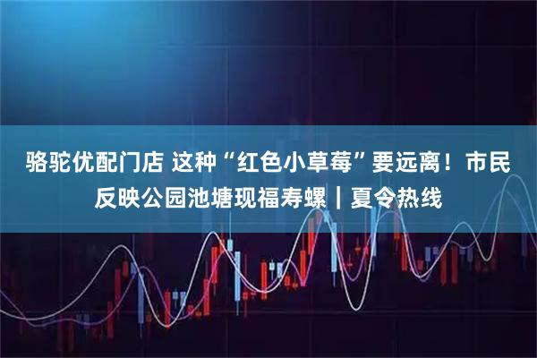 骆驼优配门店 这种“红色小草莓”要远离！市民反映公园池塘现福寿螺｜夏令热线