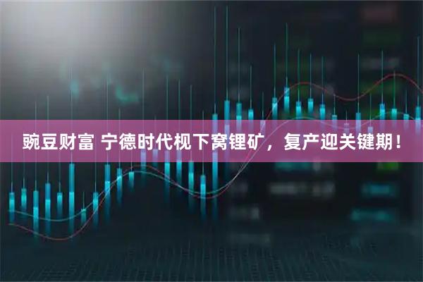 豌豆财富 宁德时代枧下窝锂矿，复产迎关键期！